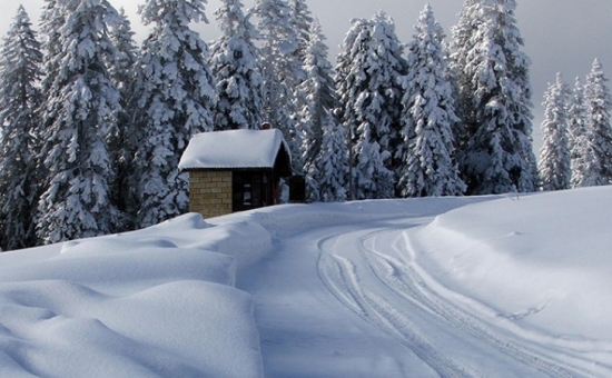 Günübirlik Ilgaz Kayak Merkezi Turu