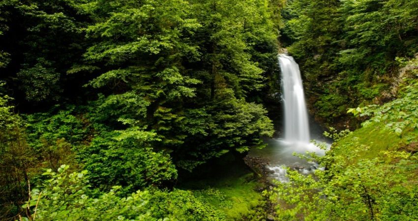 2026 BAŞTAN SONA KARADENİZ YAYLALAR TURU 