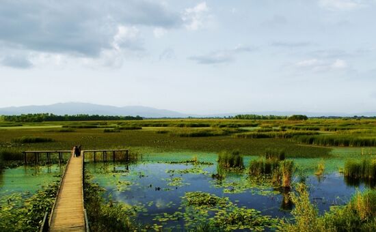 Günübirlik Düzce Şelaleleri Turu