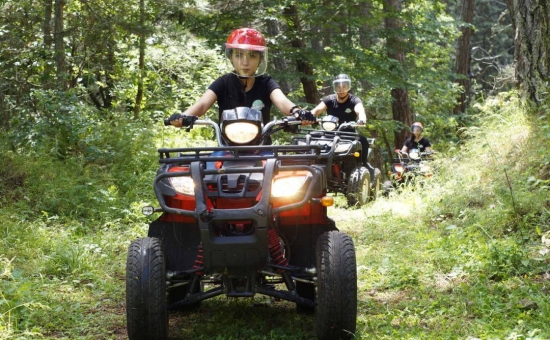 Günübirlik Ormanya Maşukiye Sapanca Turu