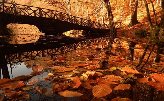 Günübirlik Yedigöller Turu