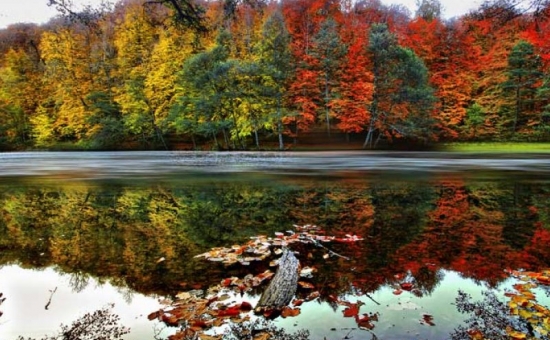 Günübirlik Yedigöller Turu