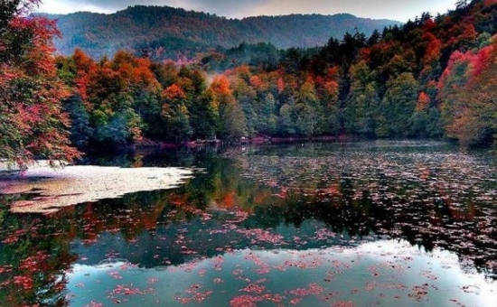 Günübirlik Yedigöller Turu