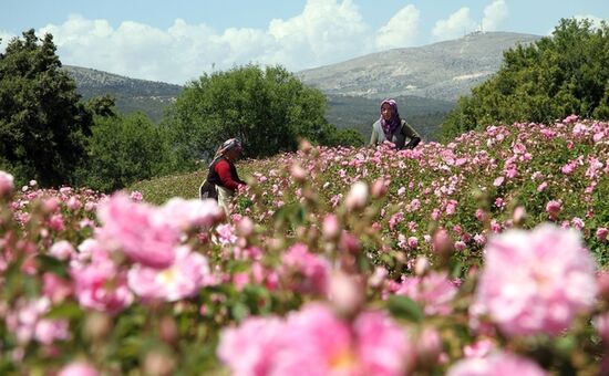 ISPARTA GÜL HASADI SALDA GÖLÜ PAMUKKALE TURU