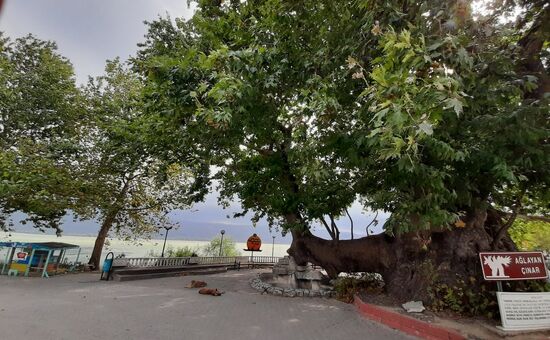 Günübirlik Bursa Cumalıkızık Gölyazı Turu