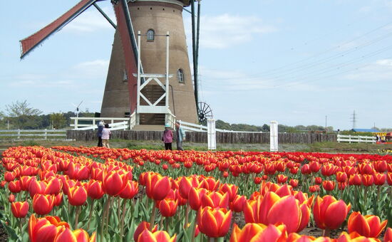 Günübirlik Bursa Cumalıkızık Gölyazı Turu