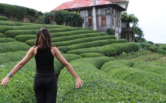 Batum Konaklamalı Eko Karadeniz Turu - 3 Gece Konaklamalı