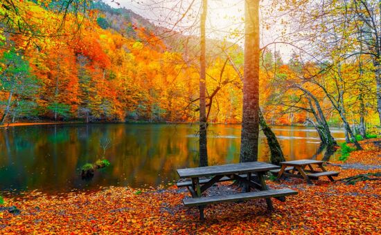 BOLU ABANT GÖLCÜK  TERMAL TURU