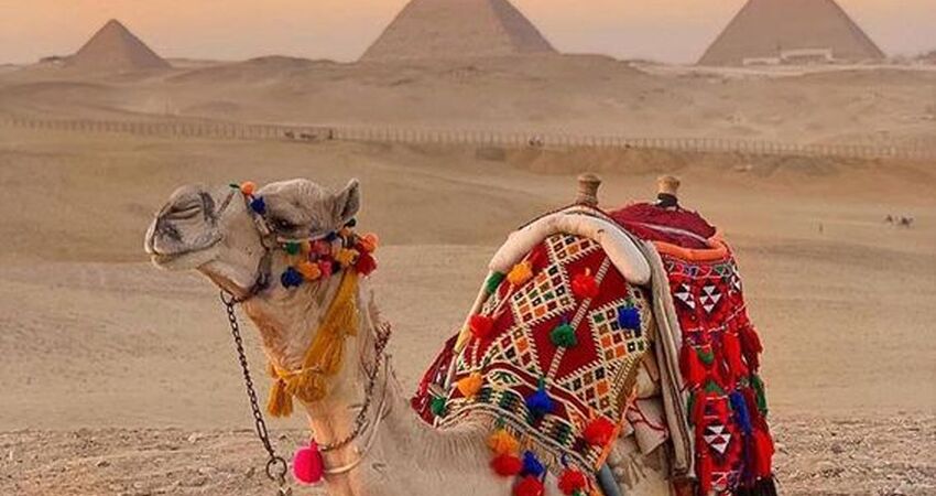 SHARM EL SHEIKH
