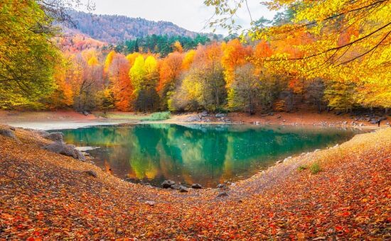 Günübirlik Yedigöller Turu