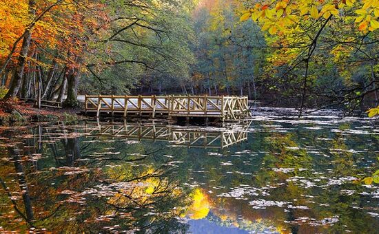 Günübirlik Yedigöller Turu