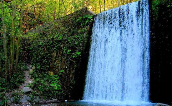 Günübirlik Ormanya Maşukiye Sapanca Turu