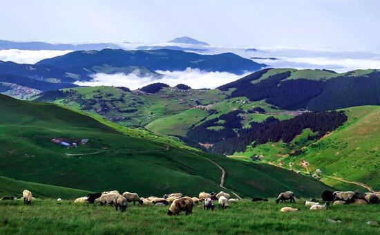 2025 KARADENİZ VE YAYLALAR TURU