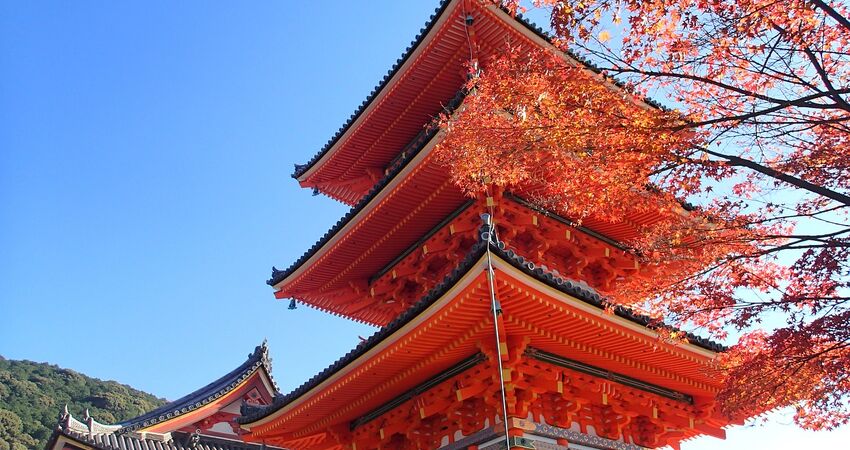 GRAND JAPONYA TURU