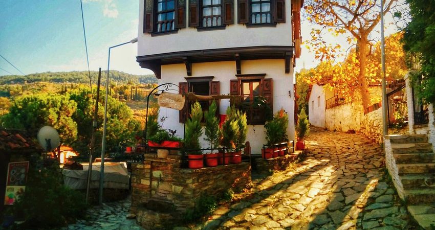 15. ALAÇATI OT FESTİVALİ