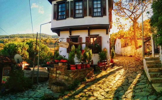 Alaçatı Ot Festivali İzmir Efes Kuşadası Pamukkale Turu